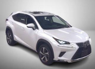 Lexus Lexus NX